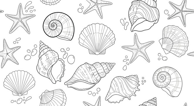 Seamless beach pattern with hand drawn black and white sketches of sea shells and starfish on white background.