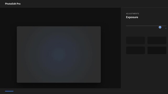 Adjusting Exposure in Video Editing Software Interface for Professionals.