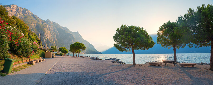 morning scenery at lonely beach Limone, lake Garda, with pine trees and blooming oleander