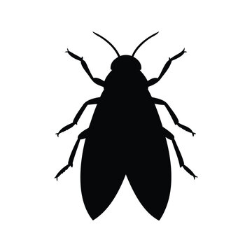 Silhouette of leafhopper insect isolated on white background vector illustration design, leafhopper silhouette vector illustration