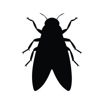 Black and white leafhopper insect detailed silhouette vector illustration design, leafhopper silhouette vector illustration