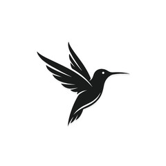 Fototapeta premium Black Hummingbird in Flight Profile.