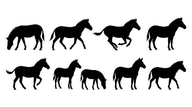 Multiple zebra silhouettes in side profile, solid black shapes.