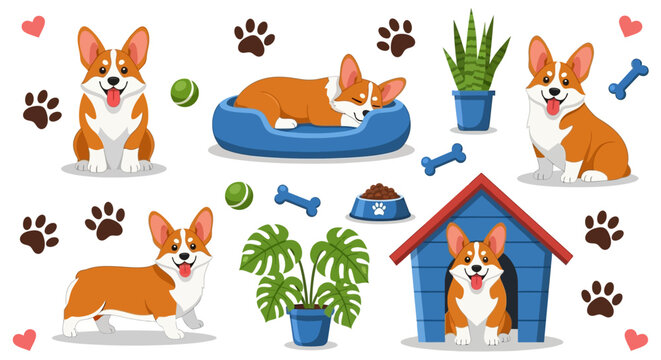 Corgi dog icons, cute cartoon corgis, dog house, pet accessories, vector illustrations