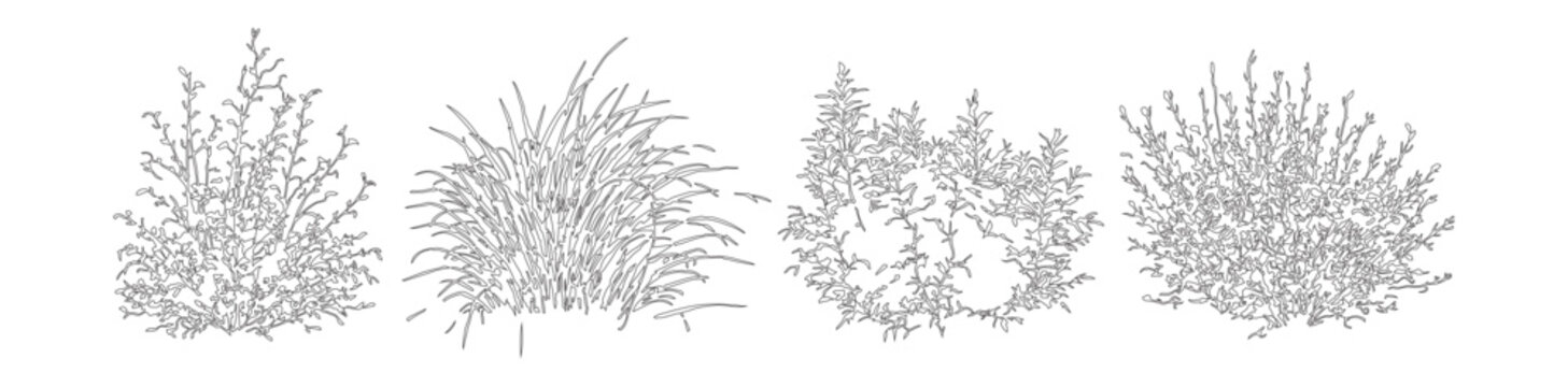 Minimalist line art bushes and shrubs set, 4 botanical garden plant vector illustrations, hand drawn foliage sketches for landscape design and architecture