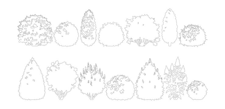 Minimalist tree outline vector set, 14 architectural landscape plant icons, thin line garden shrub and bush collection for site plans and diagrams