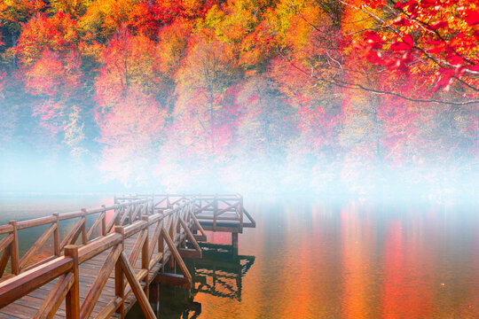 Autumn forest landscape reflection on the water with - Autumn landscape in (seven lakes) National park of  Yedigoller, Bolu 