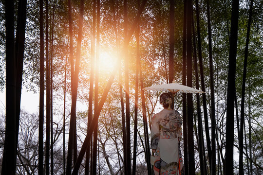 Japanese woman in an elegant kimono, gracefully walking through a lush bamboo forest during the golden hour - Bamboo forest at Arashhiyama district in Kyoto, Japan