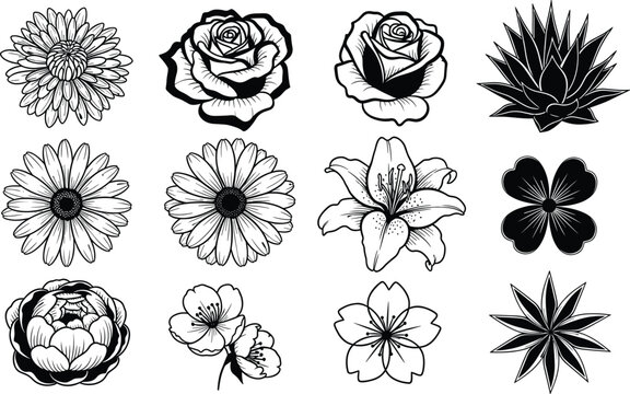 Floral collection vector set featuring rose daisy lily and cherry blossom line art icons isolated on white background for decorative design.