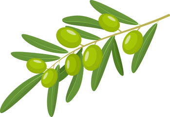 Green Olives Branch © Elena