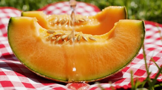 Sweet Orange Cantaloupe Slices on Picnic Blanket