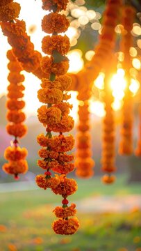 Golden marigold garlands hang gracefully, illuminated by a warm sunset glow.