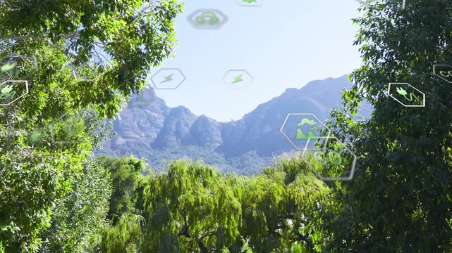 Starting with faint hex icons, green eco icons drifting inward above mountain showing eco data