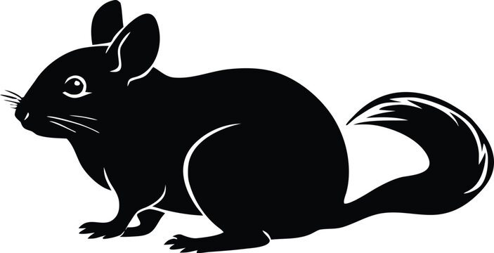chinchilla silhouette vector illustration animal