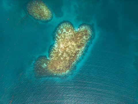 Aerial view of vibrant coral reefs and a small boat in the turquoise Caribbean waters near Guanaja, Bay Islands Department, Honduras.