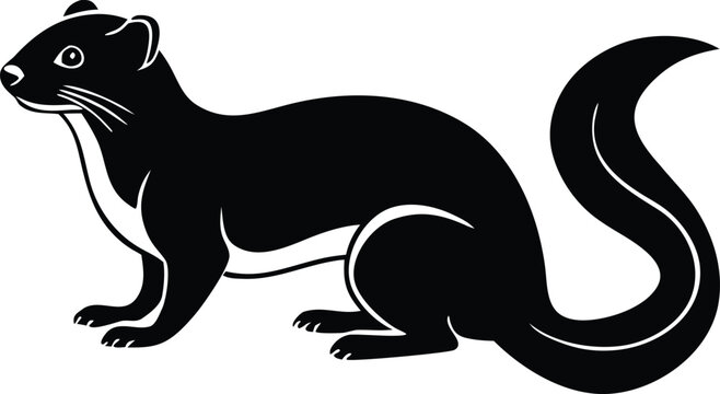 Weasel Ferret Stoat Animal Graphic
