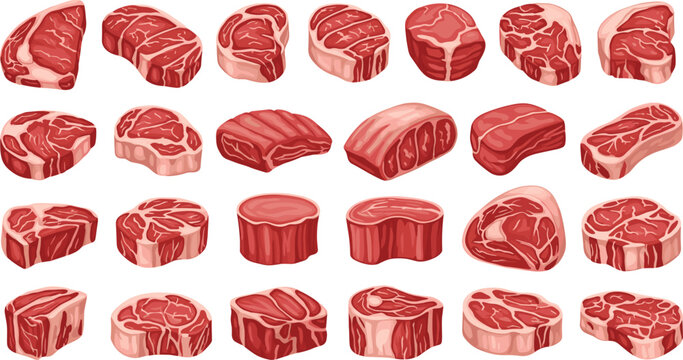 Raw beef steak cuts collection with various meat pieces, butcher shop food vector illustration set isolated design