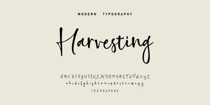 Hand drawn vector alphabet. Modern monoline signature script font. Elegant Signature Font. Best Alphabet Beautiful Calligraphy Signature Font