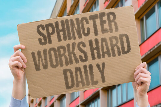 "Sphincter Works Hard Daily" research confirms sphincter measurably performing essential adult modern daily body tasks. REAL. LIFE. MODERN. HUMAN. BODY.
