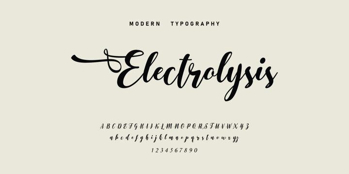 signature Font Calligraphy Logotype Script Brush Font Type Font lettering handwritten. Minimal modern urban fonts for logo, brand etc. Typography typeface uppercase lowercase and number. vector