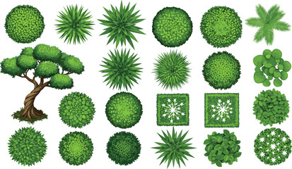 Top View Collection of Trees and Shrubs Featuring Various Green Foliage Plants, Bushes, and Palms for Architectural Site Plans and Landscape Garden Design Vector Illustration © MdGohurul
