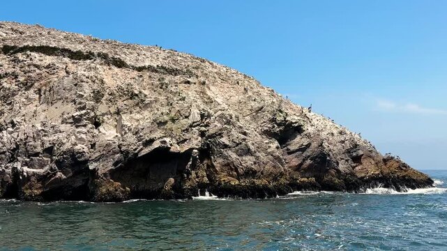 Cinematic boat glide along rocky coastal slope covered with seabirds, natural shoreline landscape near Paracas National Reserve, Peru