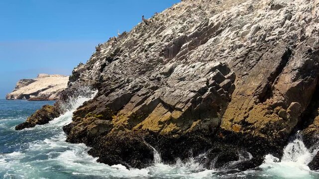 Cinematic boat glide along rocky coastal slope covered with seabirds, natural shoreline landscape near Paracas National Reserve, Peru