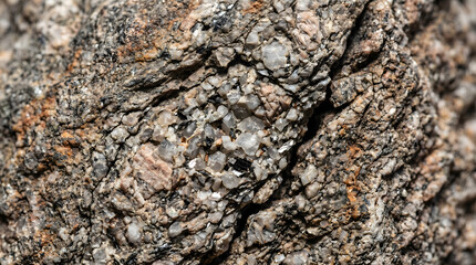 Fototapeta premium Close-up texture of a rough, weathered granite rock reveals a complex interplay of mineral grains in earthy tones and subtle cracks.
