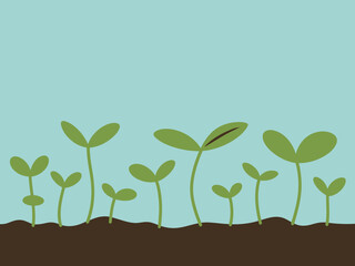 Fototapeta premium Simple of green seedlings emerging from dark brown soil against a light blue sky