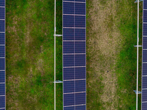 Aerial Top Down View of Solar Panel Farm on Green Grass Field in Corfu Greece Renewable Energy Station Photovoltaic Power Generation Sustainable Electricity Production