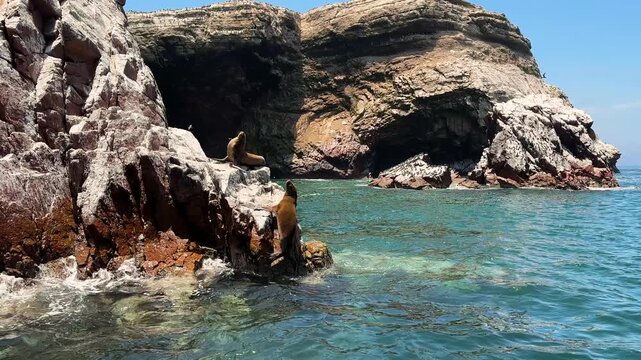 Cinematic boat approach to rocky coastline with South American sea lions resting on coastal rocks, Isla Centro Chimcha near Paracas National Reserve, Peru