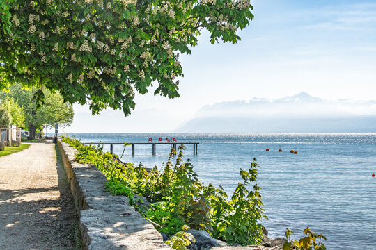 Promenade ombrag&eacute;e au bord du lac L&eacute;man avec vue sur les Alpes et un ponton, Saint-Prex, Suisse