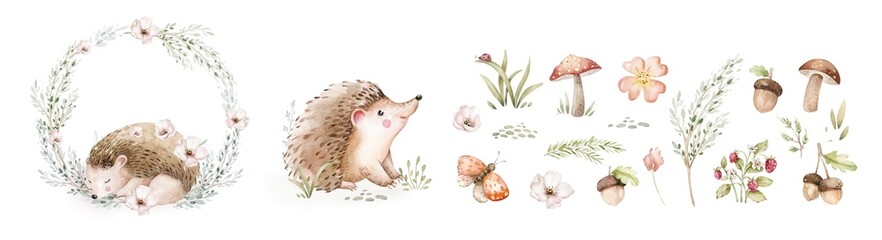 Watercolor cute sleeping baby hedgehog animal. Woodland nursery isolated illustration for children. for children. watercolour stump and acorn forest drawing with floral elements.  © kris_art