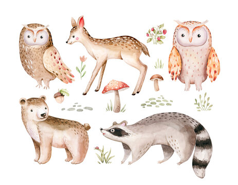 Watercolor set of cute baby owl and deer animal. Woodland nursery bear and raccoon isolated fawn illustration for children. watercolour forest drawing, mashroom and floral image. 