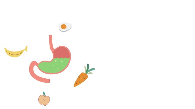 Nutrition intake with fruits and vegetables for healthy education