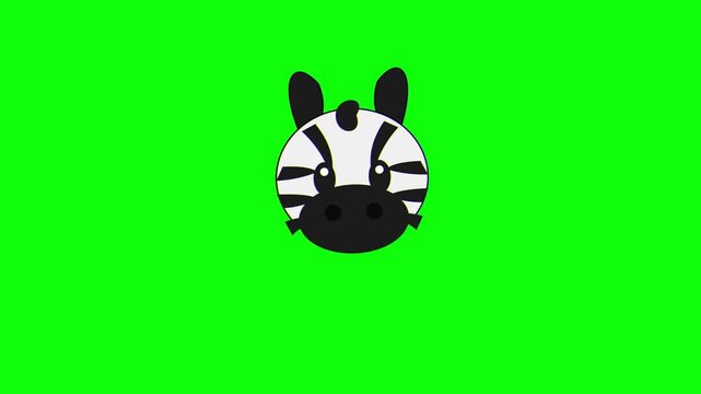 Simple Cute Zebra Face Illustration on Green Screen. 4K Video