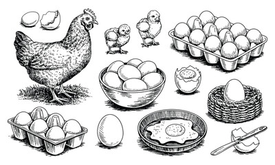 Chicken Sketch Set Vector Illustration, Hand Drawn Poultry Collection with Chicken, Rooster, Hen, and Eggs, Vintage Engraving Style Farm Animal Food Elements for Restaurant, Menu, and Farm Design © YET FAR 