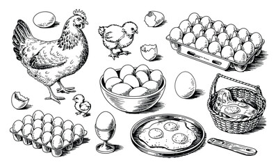 Chicken Sketch Set Vector Illustration, Hand Drawn Poultry Collection with Chicken, Rooster, Hen, and Eggs, Vintage Engraving Style Farm Animal Food Elements for Restaurant, Menu, and Farm Design © YET FAR 