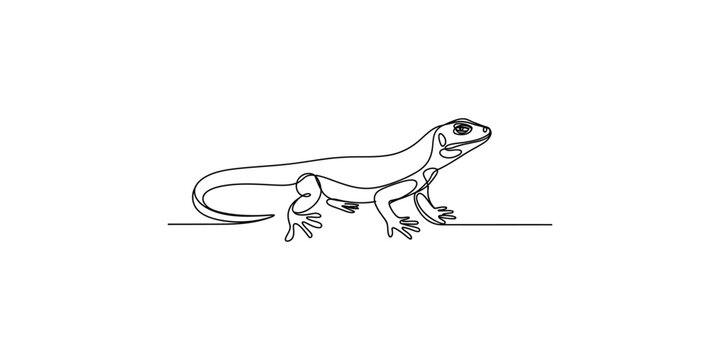 A simple line drawing of a lizard standing on a surface with a white background