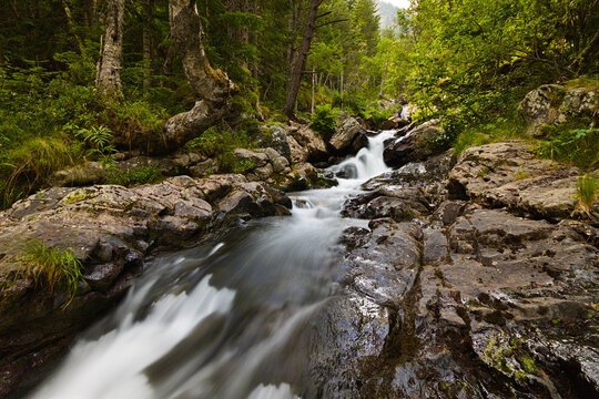 Arroyo de monta&ntilde;a con cascada en el bosque de Arinsal, Andorra