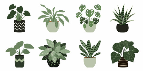 Potted plants collection vector illustration with white background © Tapan