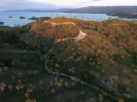 Aerial view of the rolling grassy hills and palm trees on Flores island with the turquoise sea and distant islands at sunset Labuan Bajo, East Nusa Tenggara, Indonesia.