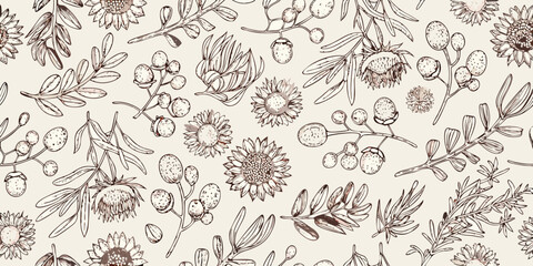 Australian native flora seamless pattern botanical line drawing on beige © AnupKumar