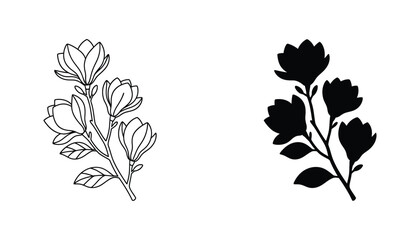 Beautiful magnolia flower branch with multiple blooming blossoms and leaves simple botanical illustration © TARU STOCKPLC