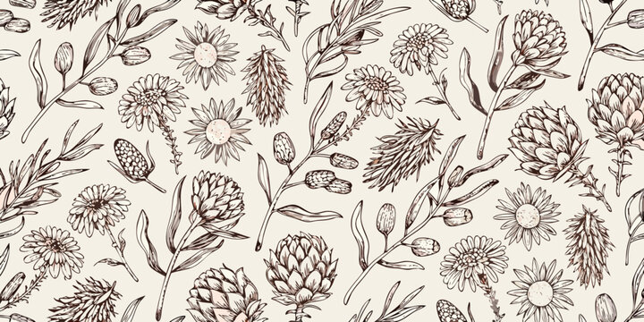 Australian native floral pattern hand drawn botanical illustration on beige
