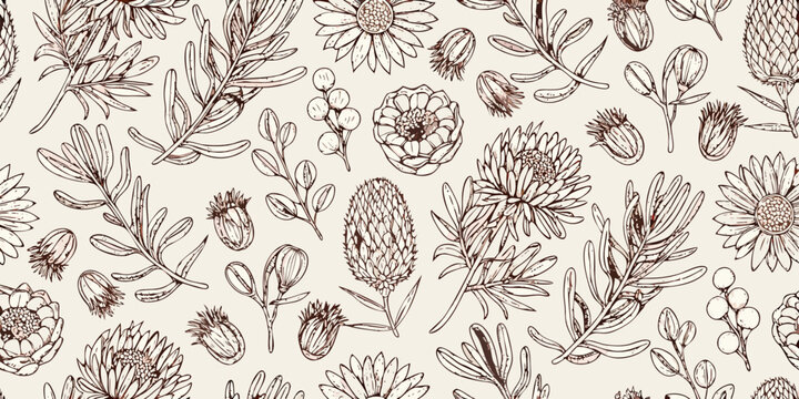 Australian native floral pattern botanical illustration on beige background