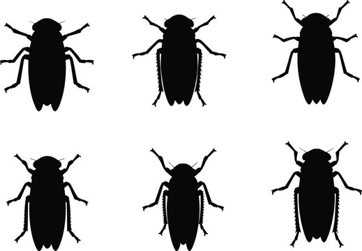 Silhouette vector illustration of a leafhopper insect. Multiple positions of leafhopper bug for biology, agricultural, and pest control-related projects.