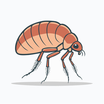 Cartoon illustration of a flea
