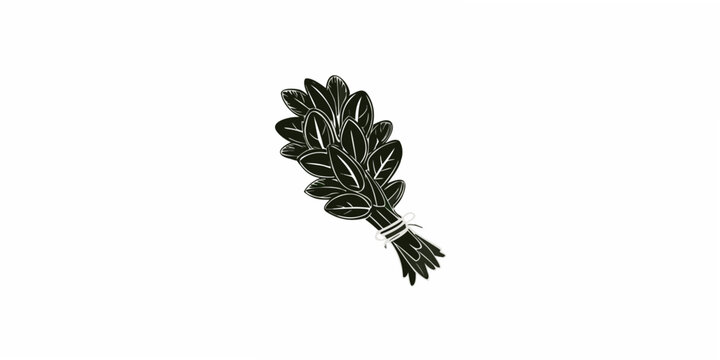 Bundle of leaves botanical engraving vintage illustration on white background