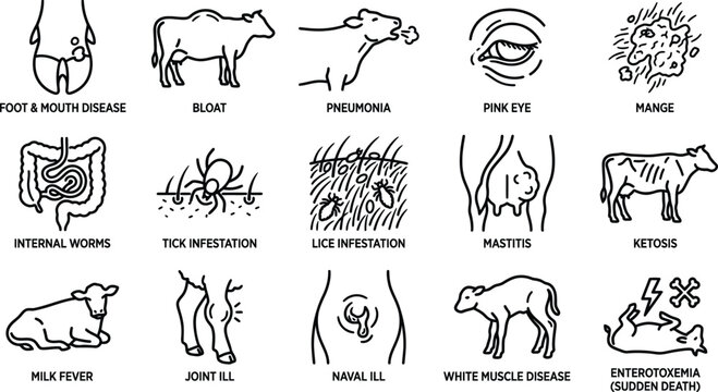 Livestock Diseases Line Icons &ndash; Animal Health Conditions, Veterinary Diagnosis, Cattle Disease Vector Set